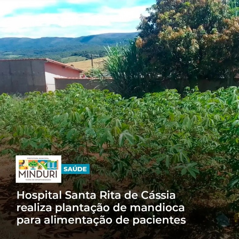 SAÚDE – Hospital Santa Rita de Cássia realiza plantação de mandioca para alimentação de pacientes, garantindo o fornecimento adequado de nutrientes e recuperando o estado nutricional.