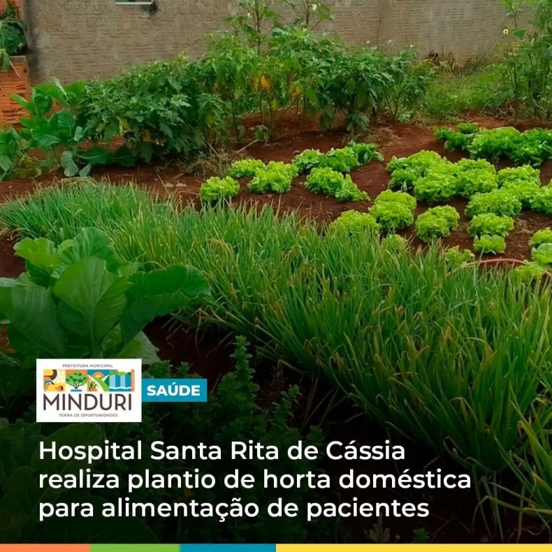 SAÚDE – Hospital Santa Rita de Cássia realiza plantio de horta doméstica com legumes e verduras para alimentação de pacientes.